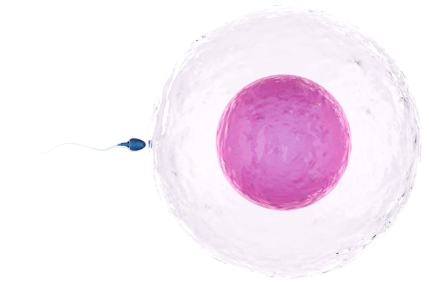 Lamotrigina: Tudo que Você Precisa Saber sobre Este Medicamento